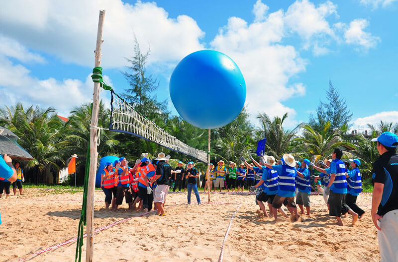 Áo phông đồng phục du lịch Vinamilk